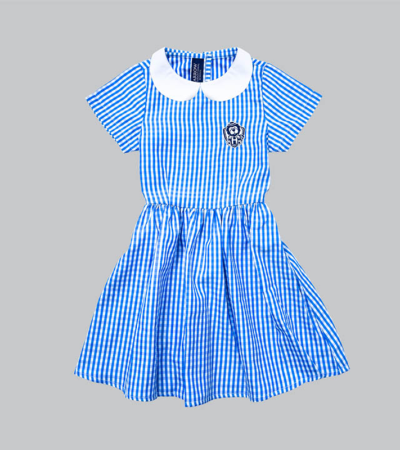 女生夏季格子连衣裙(新)